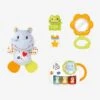 Coffret Naissance Eveil Des Sens VTECH Rose - Toutes Les Marques -Enfants Meubles Magasin coffret naissance eveil des sens vtech