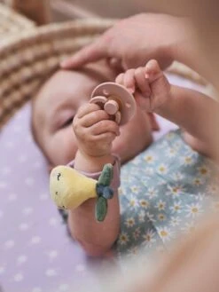 Hochets Mains Et Pieds DOUCE PROVENCE Violet - Douce Provence - Vertbaudet -Enfants Meubles Magasin hochets mains et pieds douce provence 5