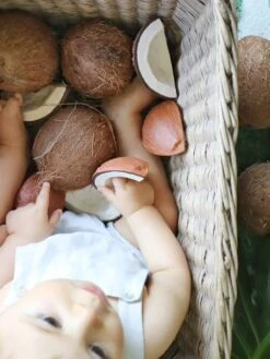 Jouet De Dentition Coco La Noix De Coco - OLI & CAROL Marron - Oli Et Carol -Enfants Meubles Magasin jouet de dentition coco la noix de coco oli carol 5