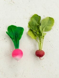 Jouet De Dentition Ramona Le Radis - OLI & CAROL Rose - Oli Et Carol -Enfants Meubles Magasin jouet de dentition ramona le radis oli carol 5