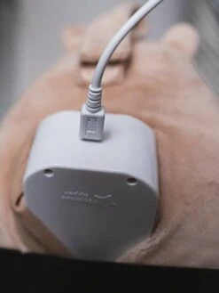 Peluche Aide Au Sommeil Rechargeable TOMMEE TIPPEE Bennie L’ourson Beige - Tommee Tippee -Enfants Meubles Magasin peluche aide au sommeil rechargeable tommee tippee bennie lourson 4