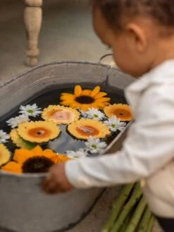 Sun Le Tournesol - OLI & CAROL Jaune - Oli Et Carol -Enfants Meubles Magasin sun le tournesol oli carol 3